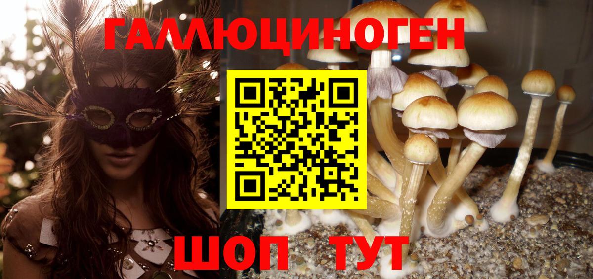 Псилоцибиновые грибы мухоморы Фурманов