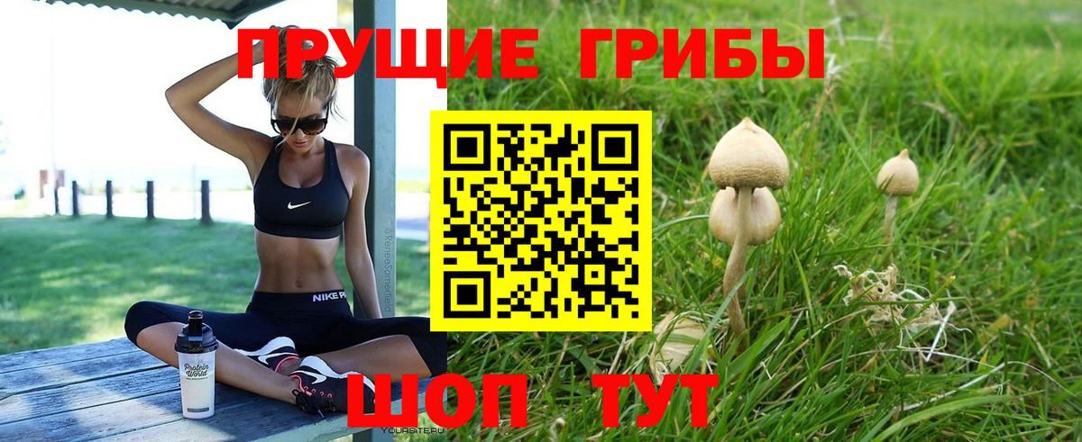 Галлюциногенные грибы мицелий  Галлюциногенные грибы Psilocybe  Вход с VPN  как найти   Фурманов 